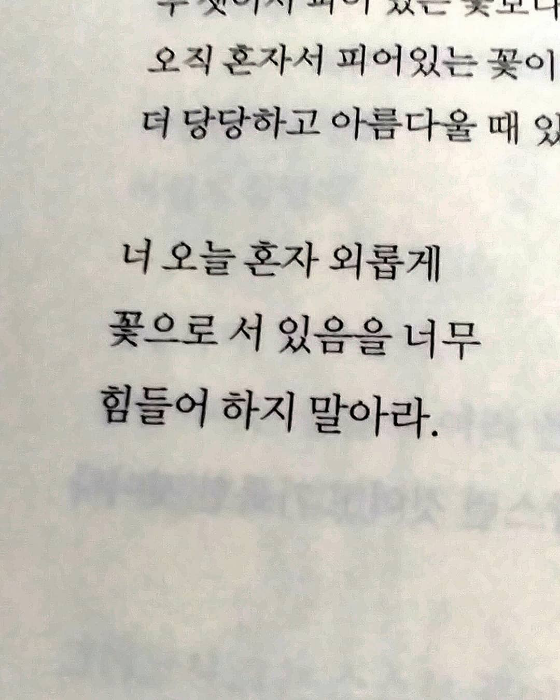 katherine님의 꽃을 보듯 너를 본다 게시물 이미지