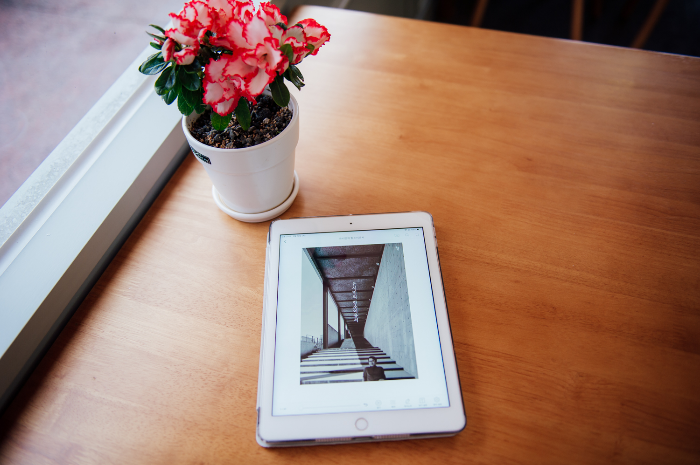 임정섭님의 유시민의 항소이유서 게시물 이미지