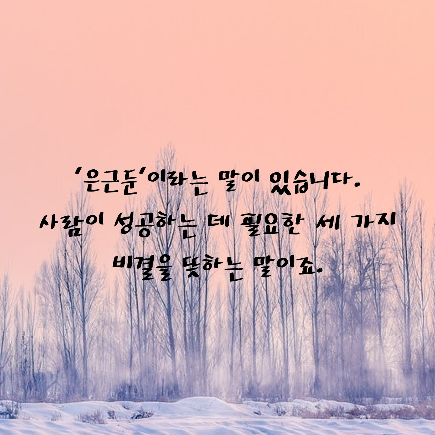 꿈쟁이님의 둔감력 수업 게시물 이미지