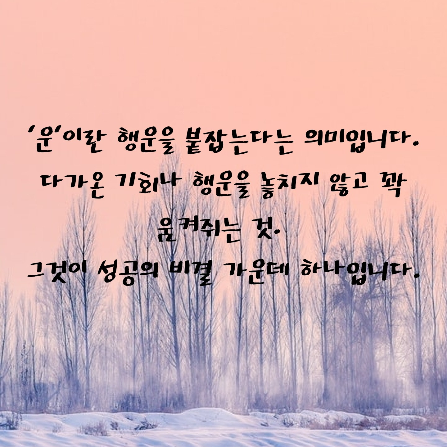 꿈쟁이님의 둔감력 수업 게시물 이미지
