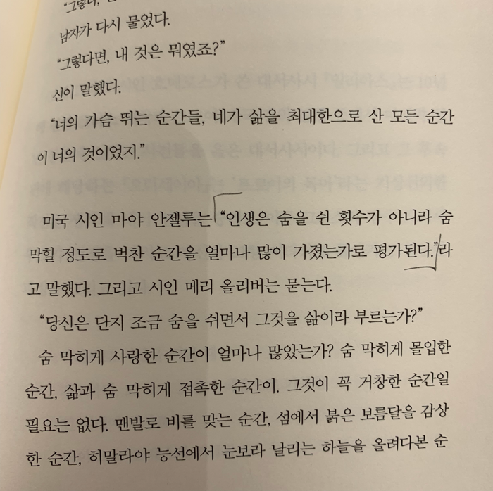 레드글로브님의 리뷰 이미지 0 - 새는 날아가면서 뒤돌아보지 않는다