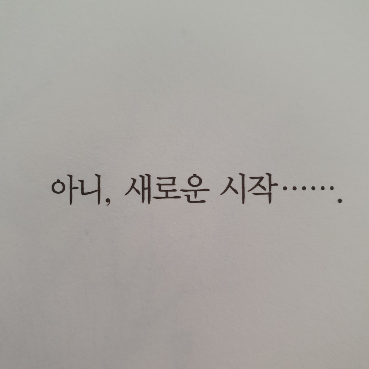 Junmo Park님의 꽃들에게 희망을 게시물 이미지