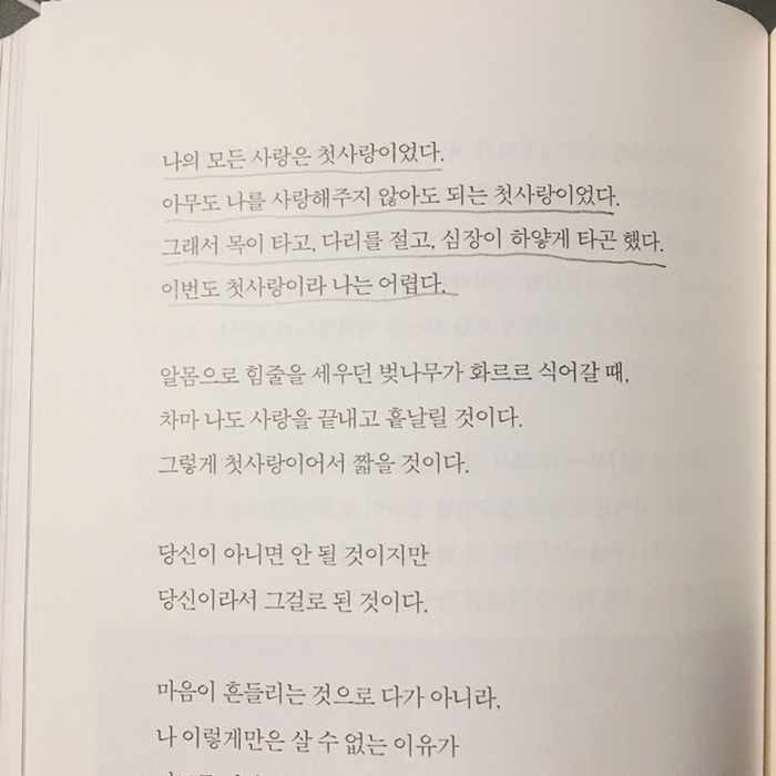 이주연님의 혼자가 혼자에게 게시물 이미지