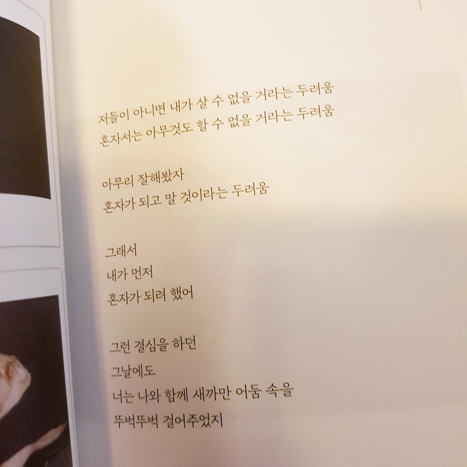 Jo su jung(조수정)님의 나는 너의 반려동물 게시물 이미지