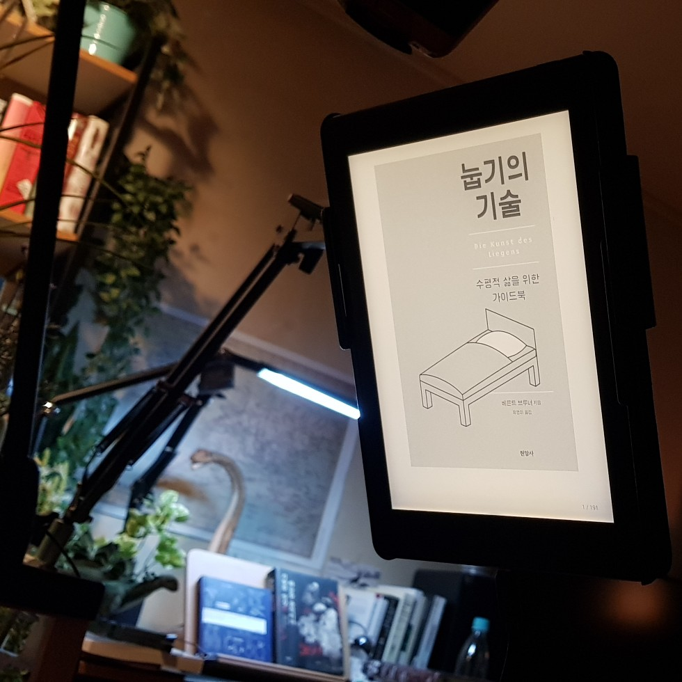 블랑님의 눕기의 기술 게시물 이미지