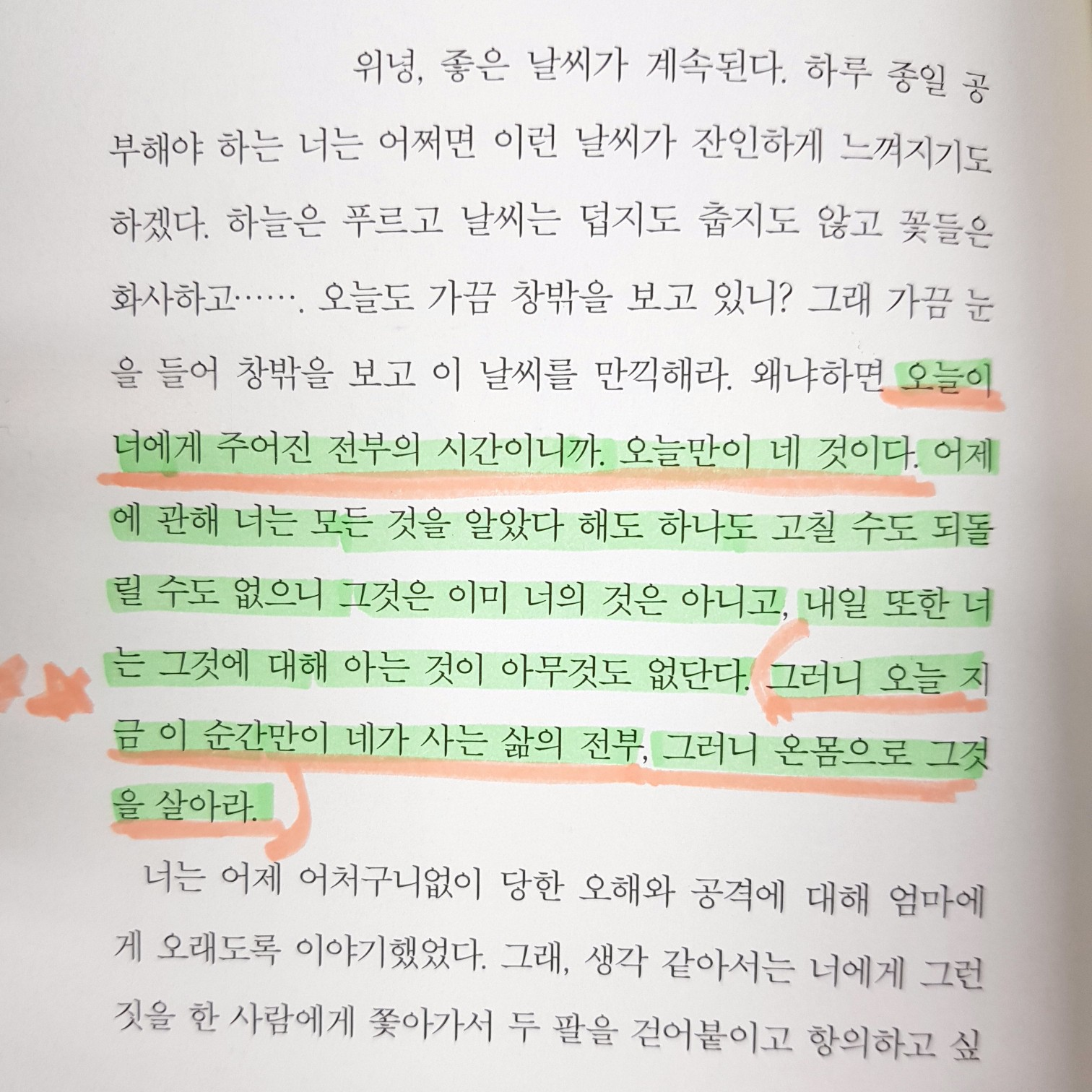 헤이쥬님의 네가 어떤 삶을 살든 나는 너를 응원할 것이다 게시물 이미지