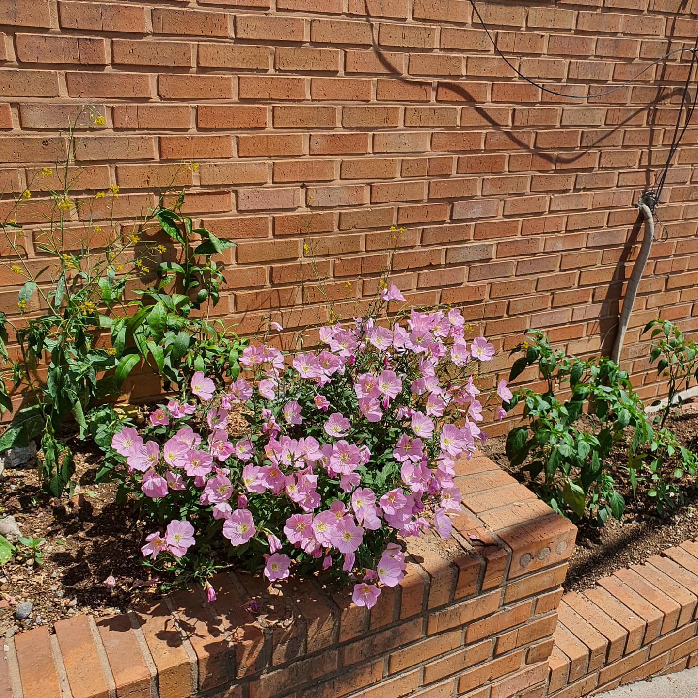 임은정님의 야생의 위로 게시물 이미지