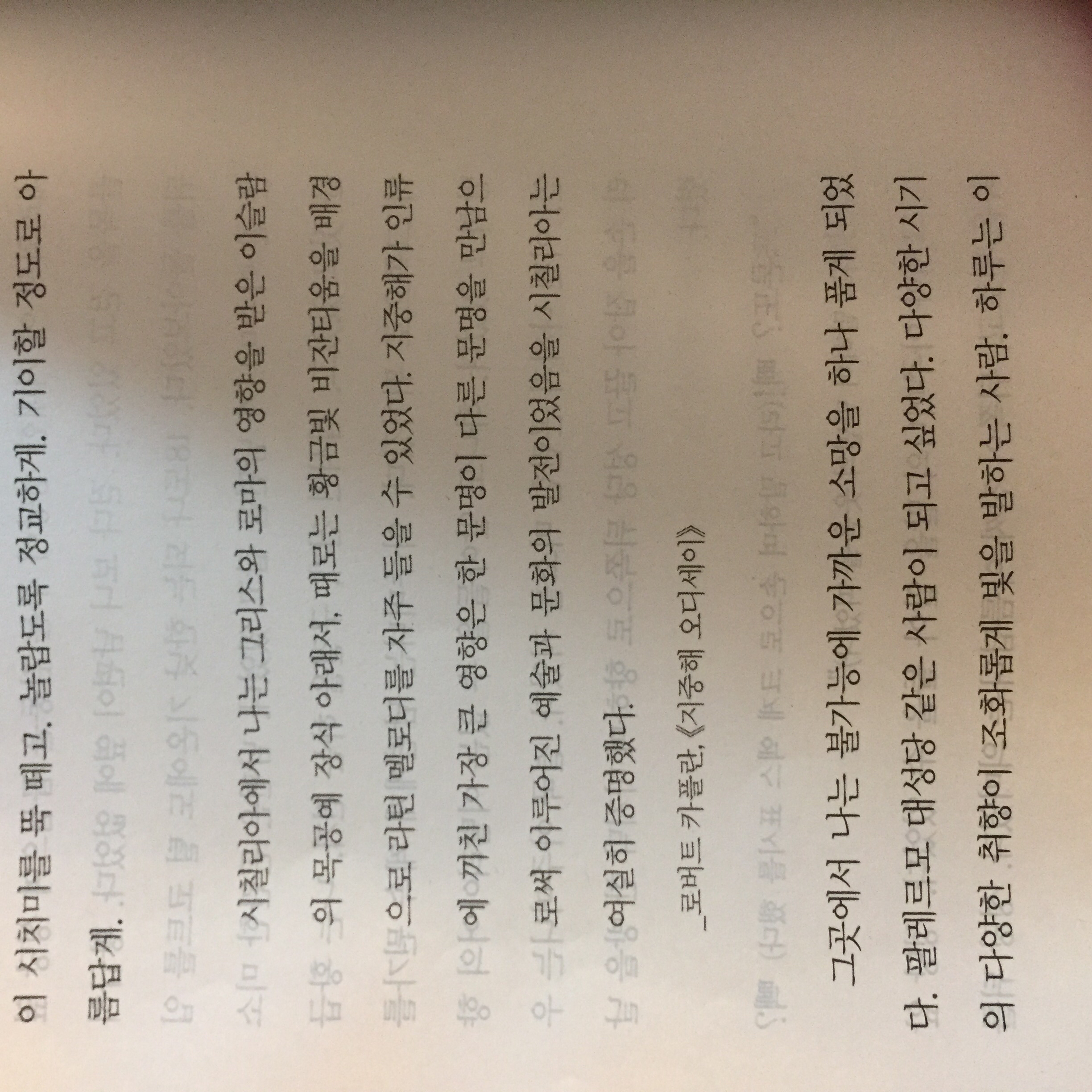 박주희님의 하루의 취향 게시물 이미지