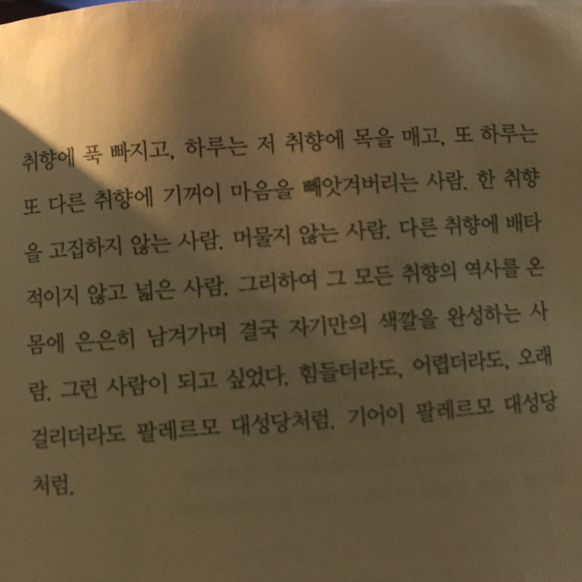 박주희님의 하루의 취향 게시물 이미지