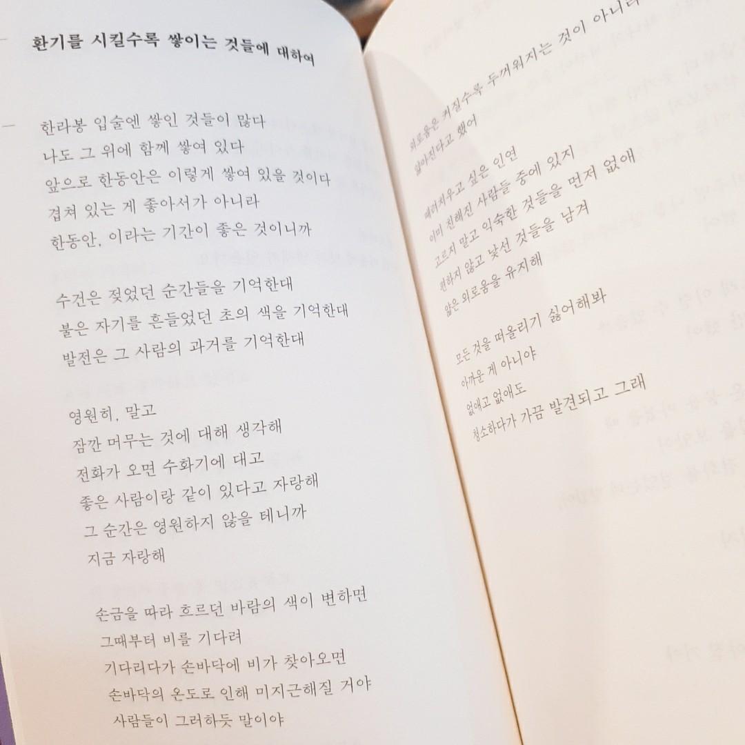 꽃보경님의 제주에서 혼자 살고 술은 약해요 게시물 이미지