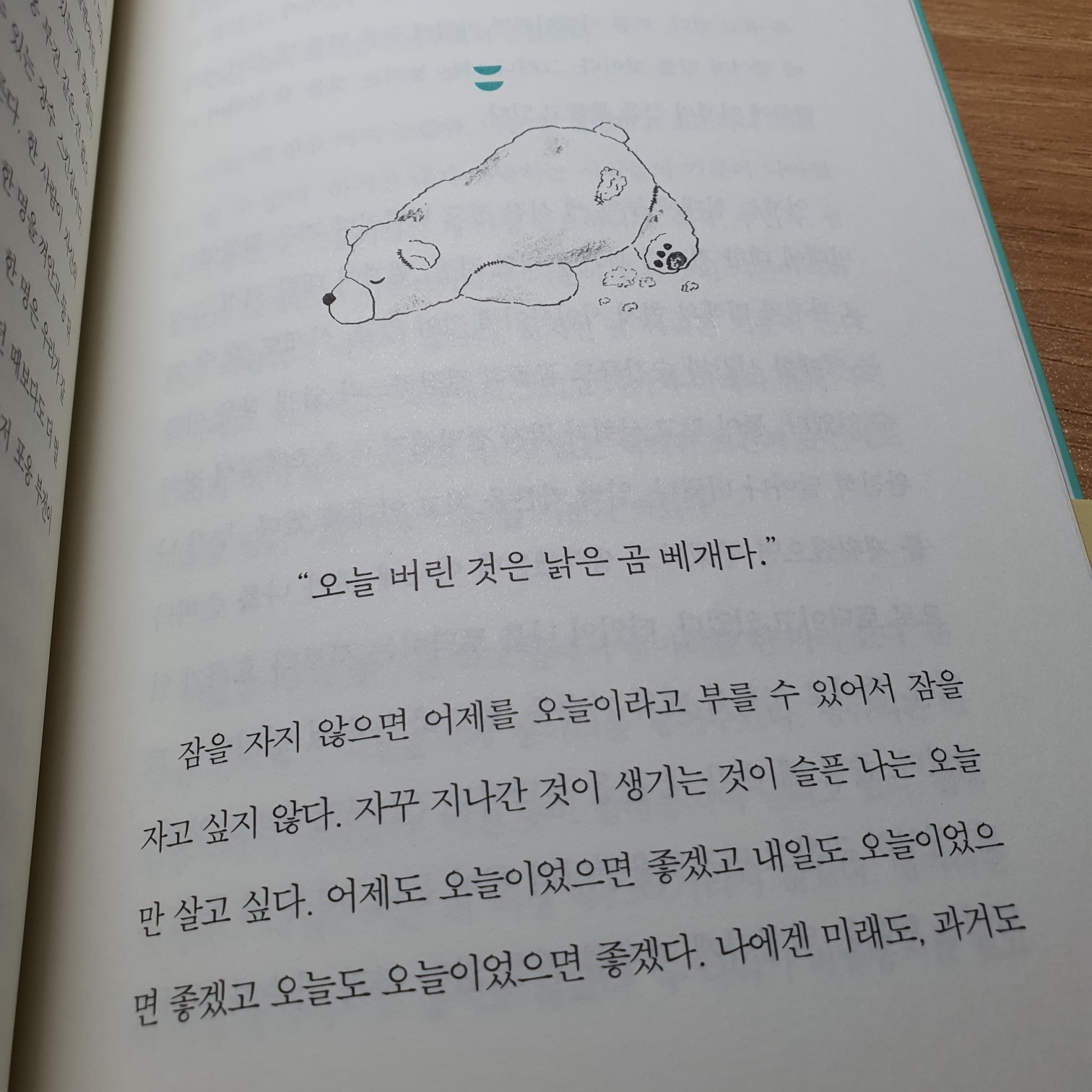 김나현님의 리뷰 이미지 0 - 불안해서 오늘도 버렸습니다 (매일의 기분을 취사선택하는 마음 청소법)