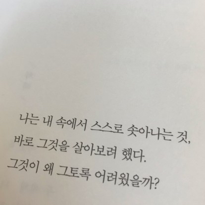 랸님의 리뷰 이미지 0 - 데미안 (리커버 한정판,헤르만 헤세 탄생 140주년 기념 초호화 패브릭 양장,초판본)