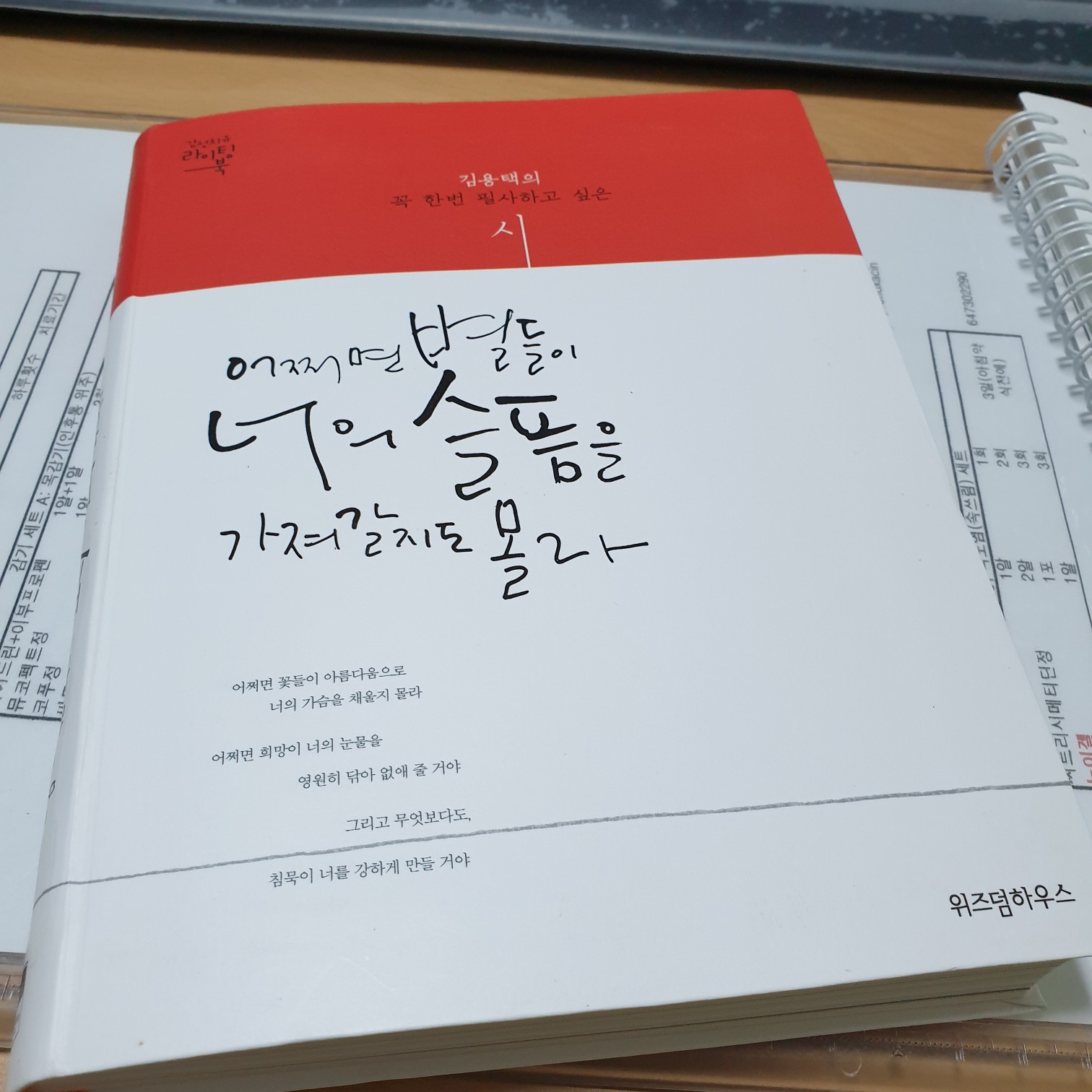 The reader님의 어쩌면 별들이 너의 슬픔을 가져갈지도 몰라 게시물 이미지