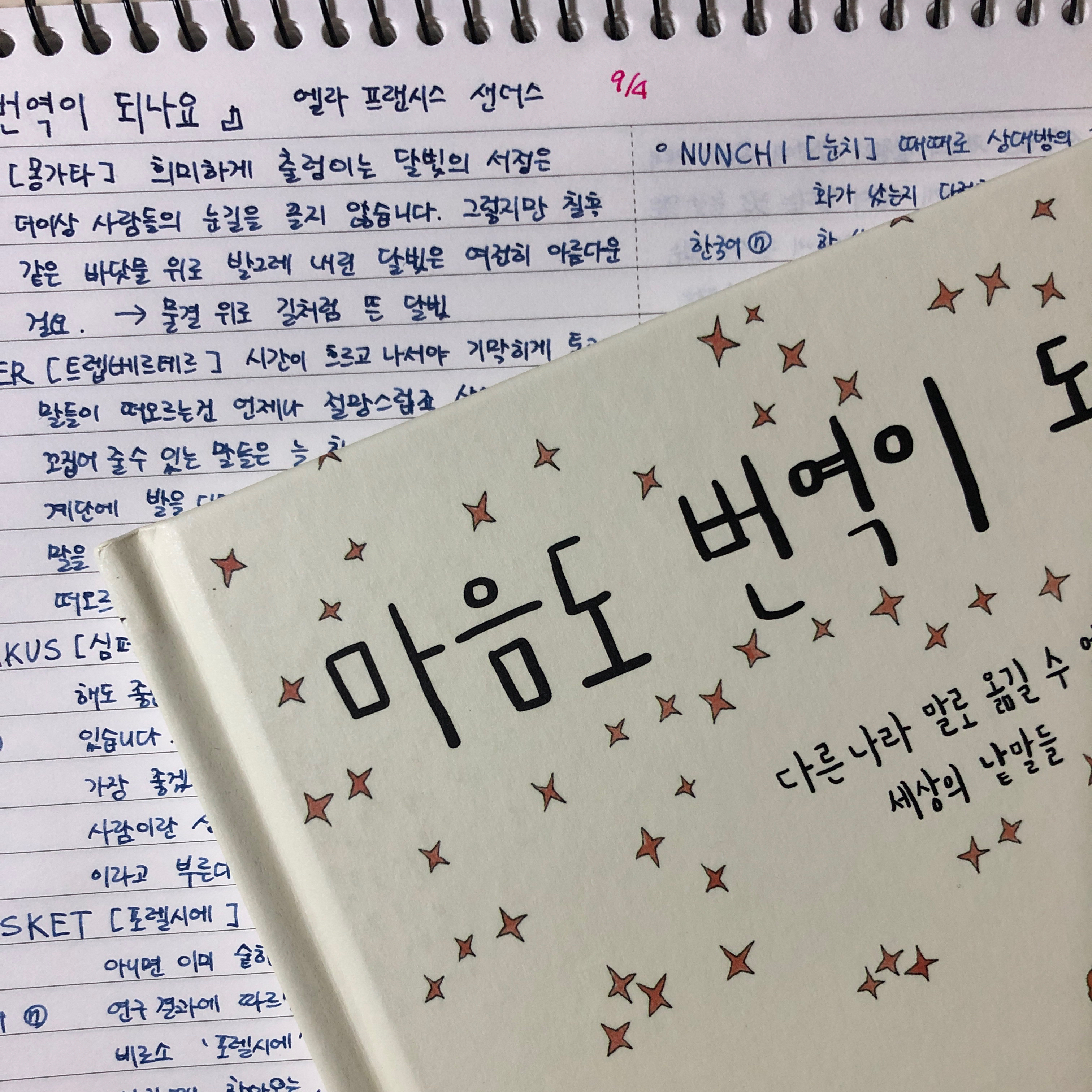 제플린님의 마음도 번역이 되나요 1 게시물 이미지