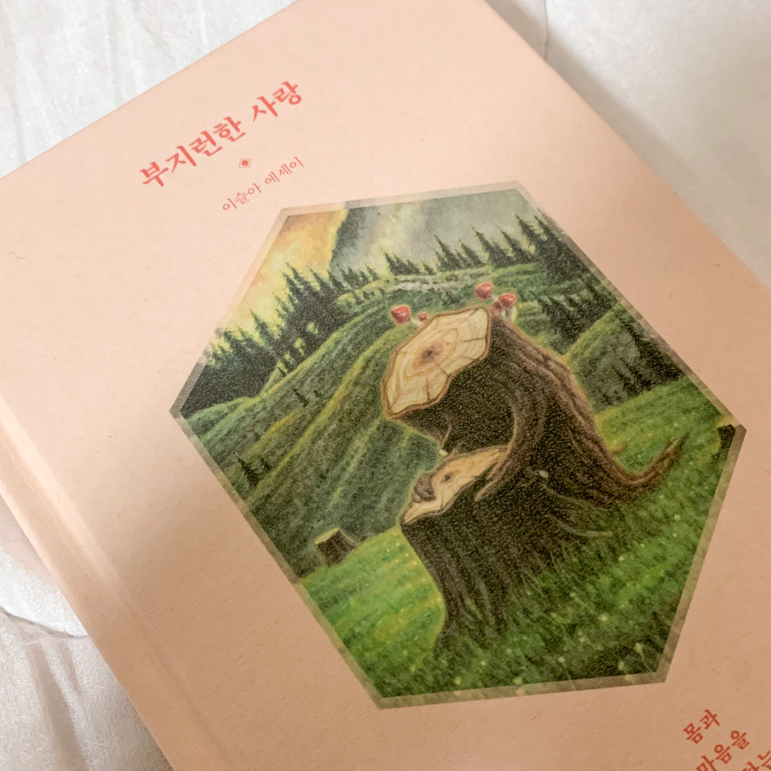 yyyyyyynnmi님의 부지런한 사랑 게시물 이미지