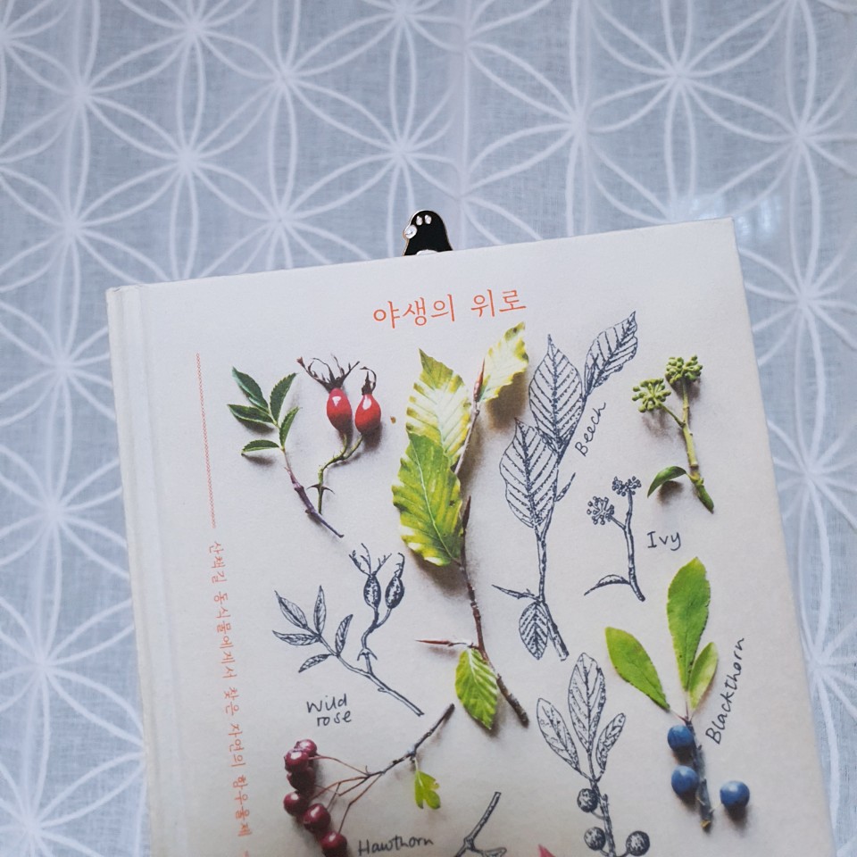 읽는기분님의 야생의 위로 게시물 이미지