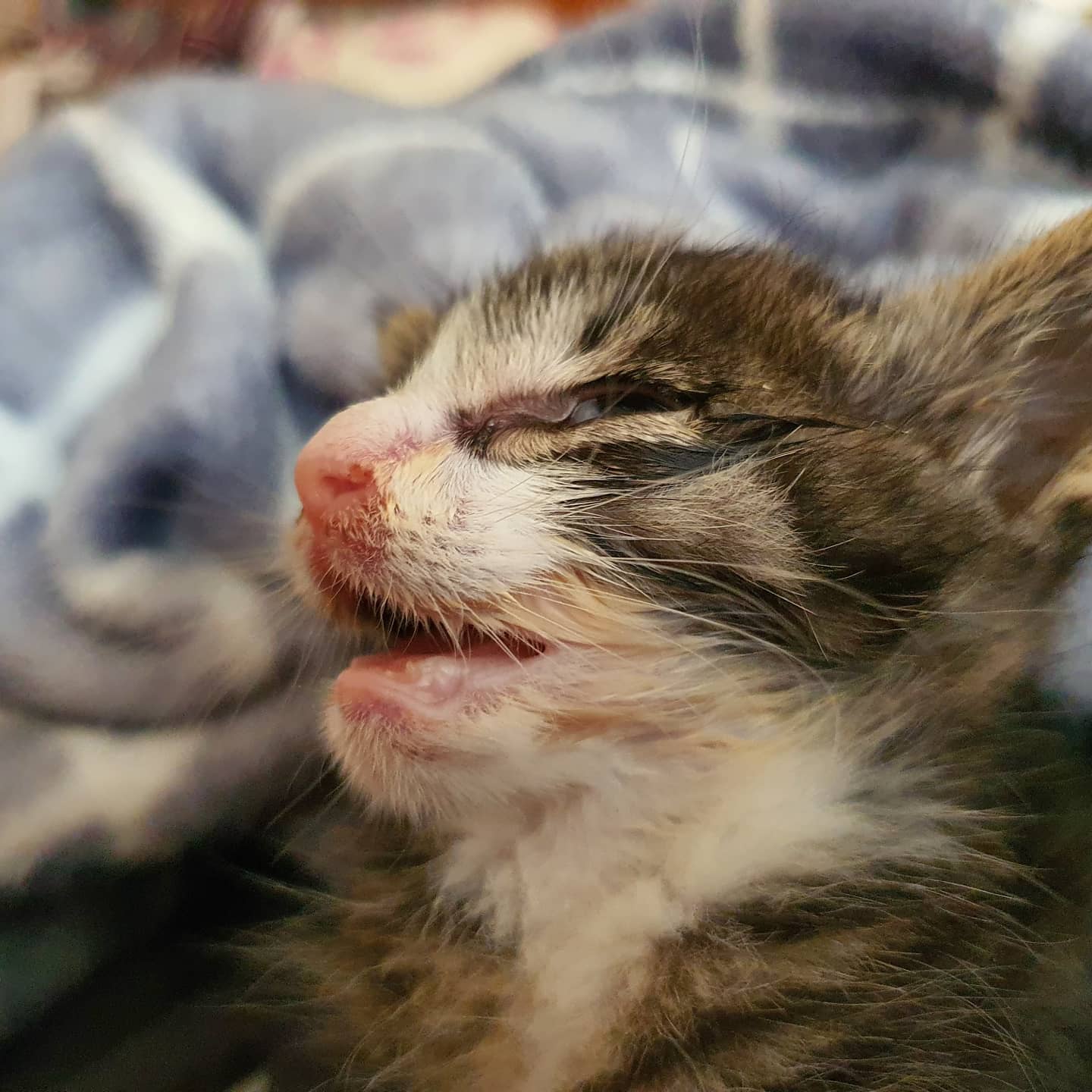 임은정님의 안녕, 초지로 게시물 이미지