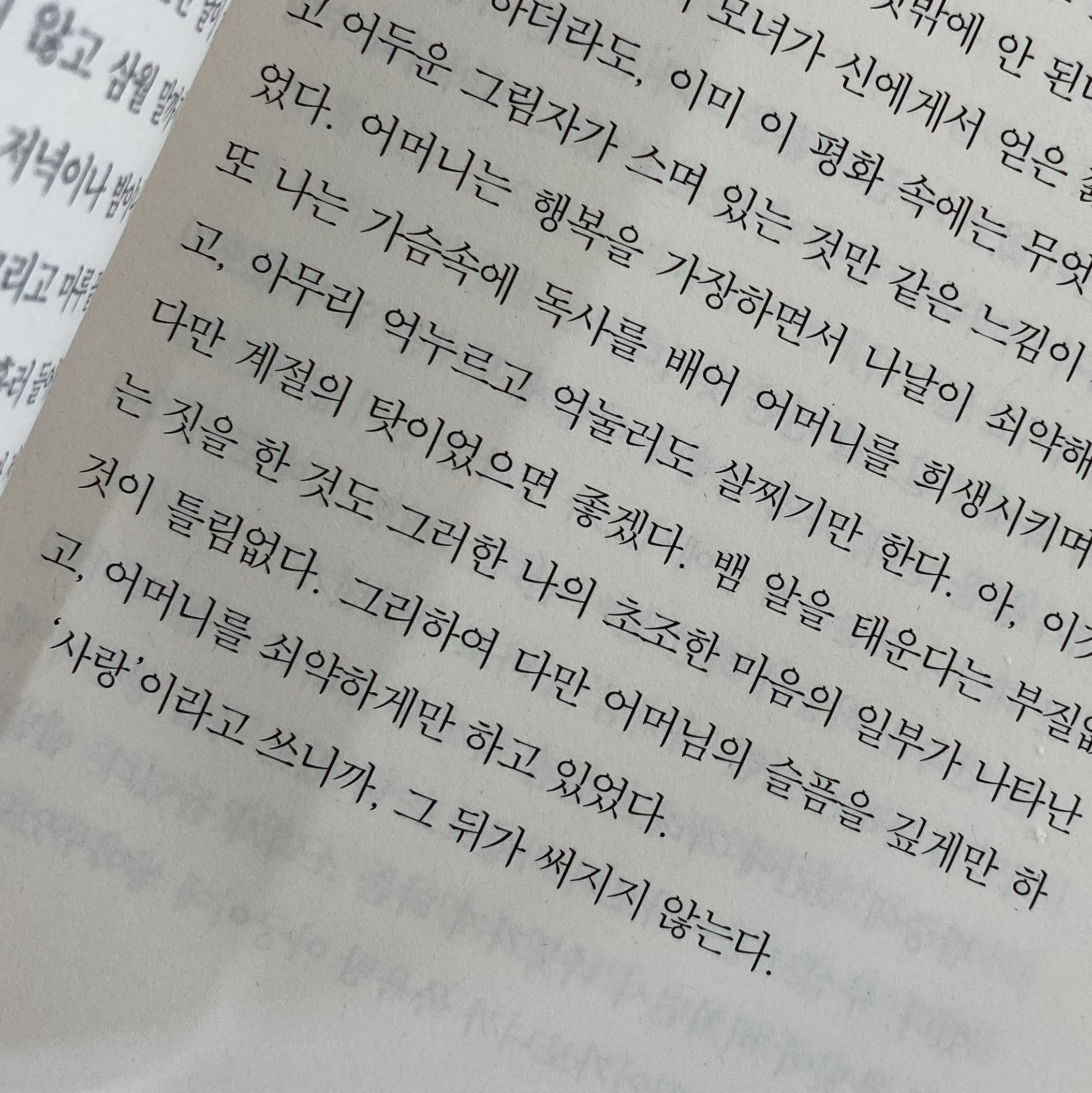 솔님의 사양 게시물 이미지