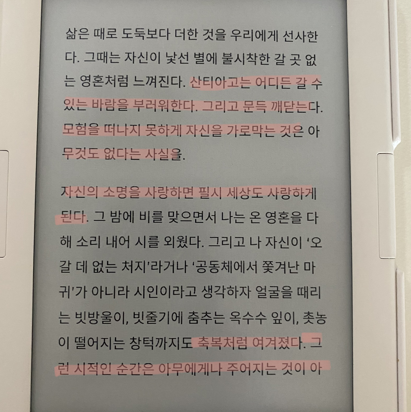봄토끼님의 리뷰 이미지 1 - 좋은지 나쁜지 누가 아는가