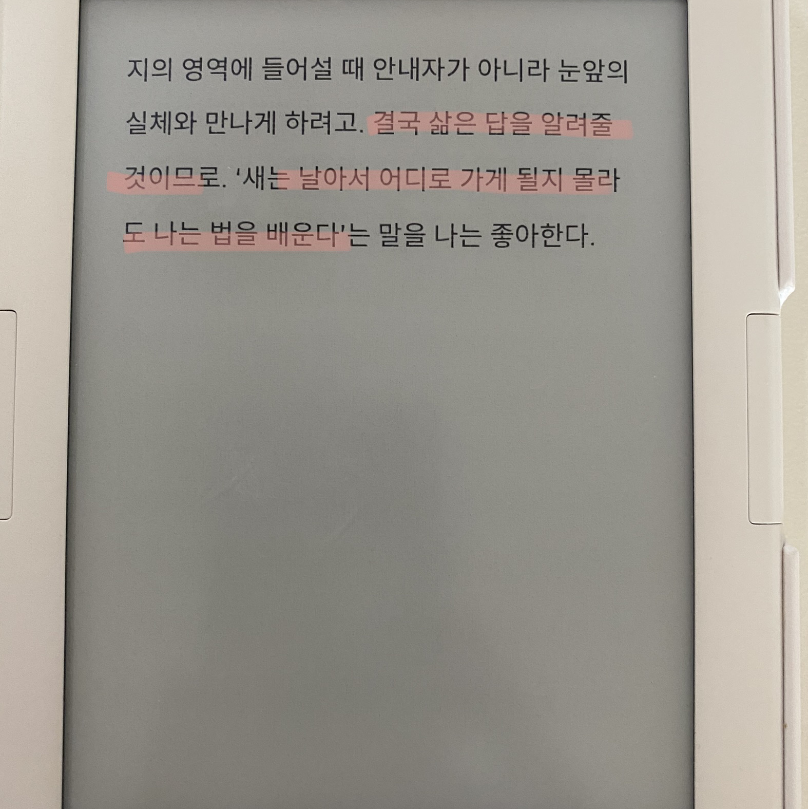 봄토끼님의 리뷰 이미지 3 - 좋은지 나쁜지 누가 아는가