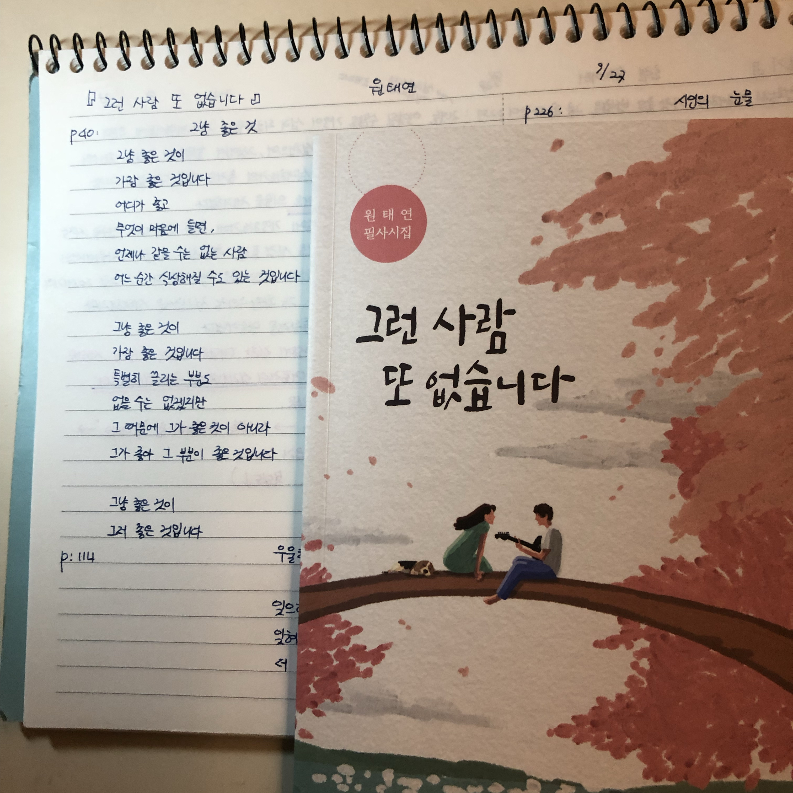 제플린님의 그런 사람 또 없습니다 게시물 이미지