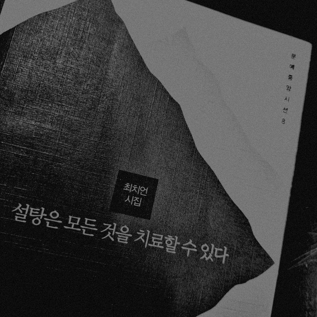 서님의 설탕은 모든 것을 치료할 수 있다 게시물 이미지