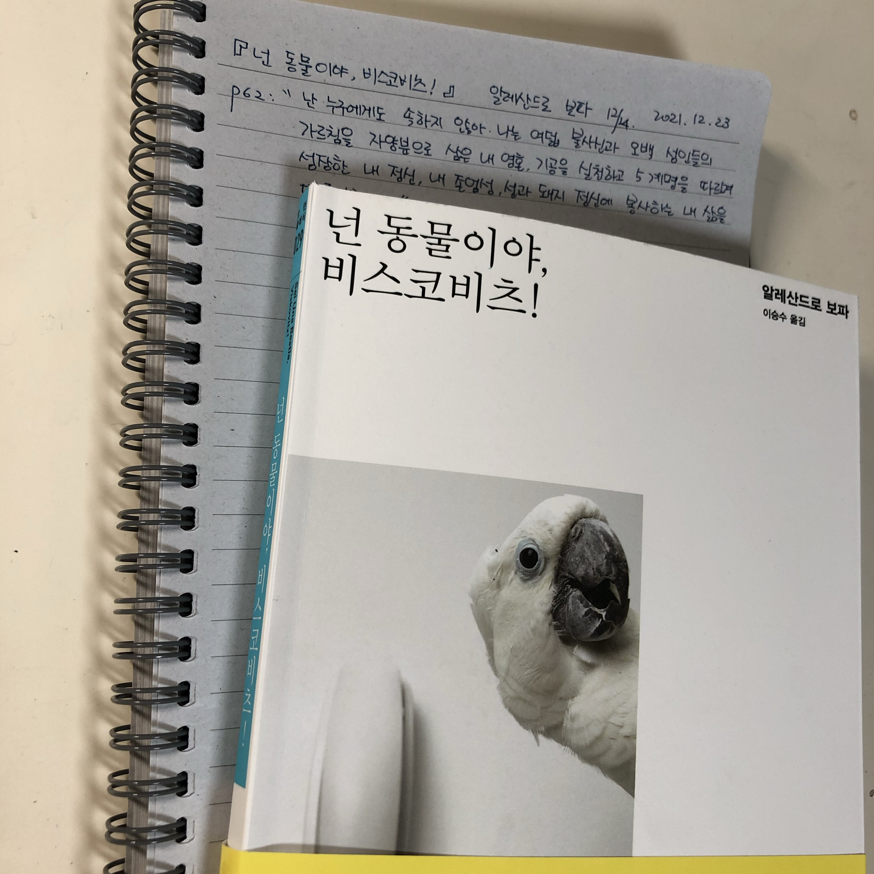 제플린님의 넌 동물이야 비스코비츠 게시물 이미지