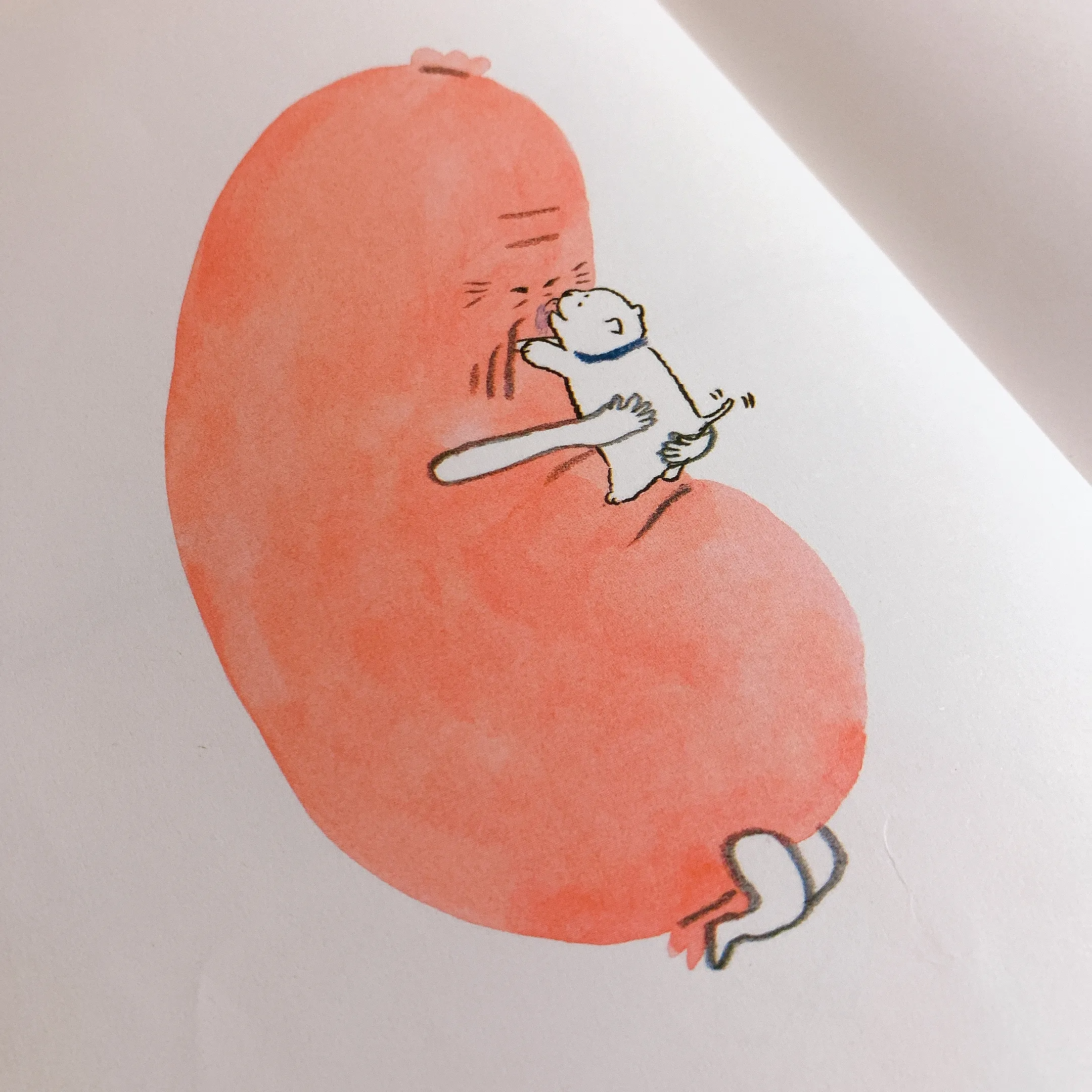 차님님의 안녕 게시물 이미지