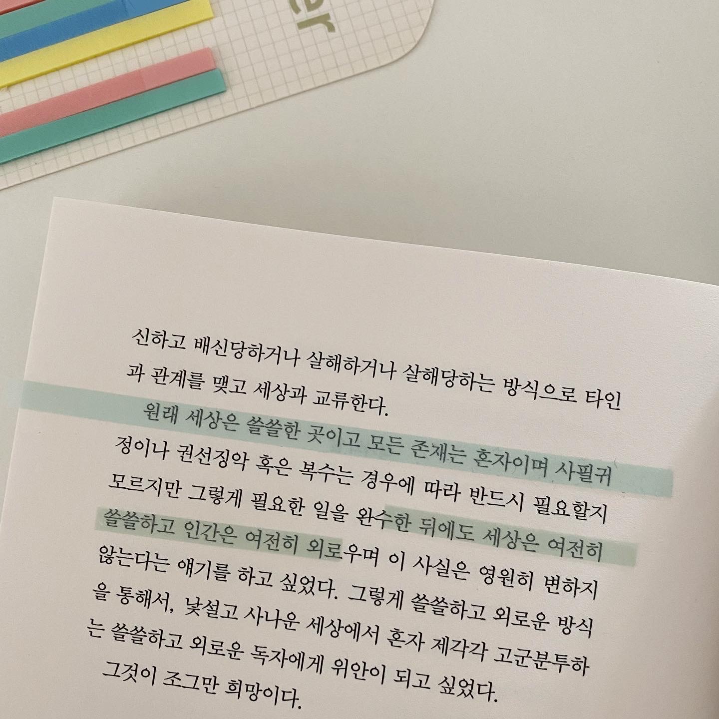봄토끼님의 저주토끼 게시물 이미지