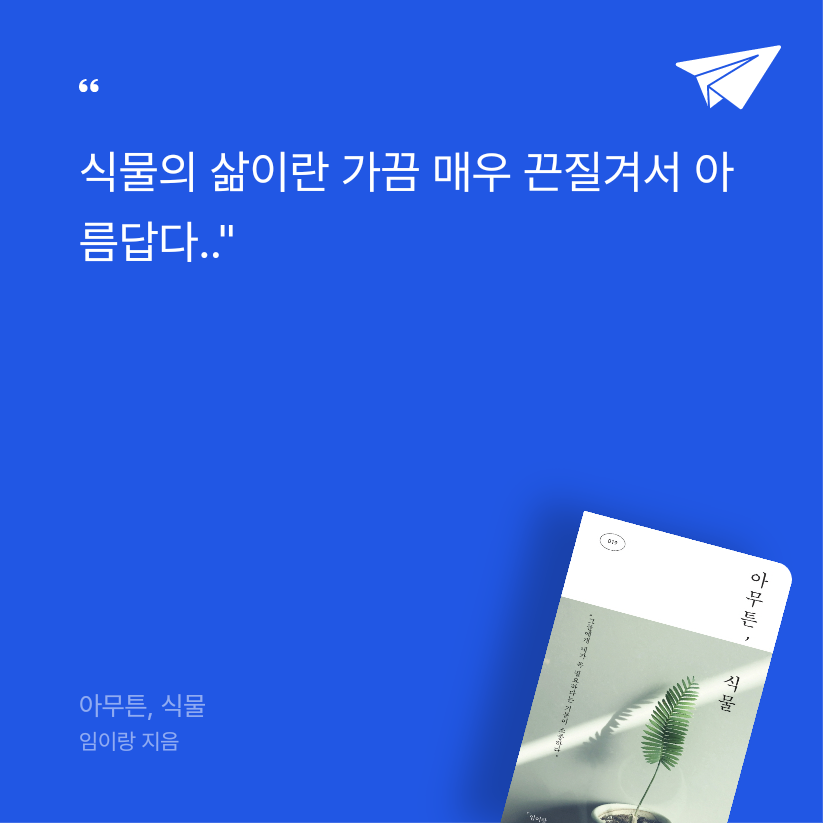 임은정님의 아무튼, 식물 게시물 이미지
