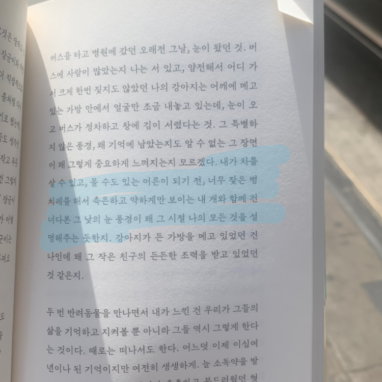 구디님의 다름 아닌 사랑과 자유 게시물 이미지