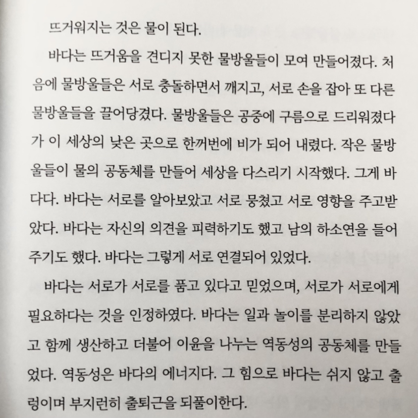 빈님의 남방큰돌고래 게시물 이미지