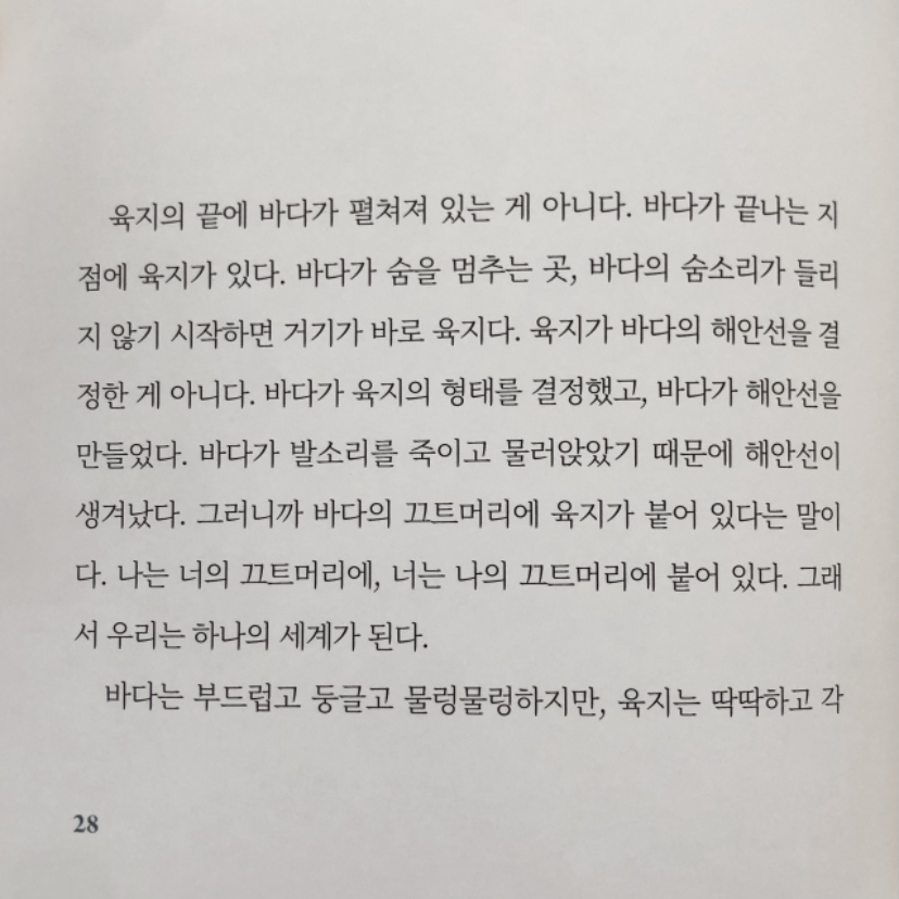 빈님의 남방큰돌고래 게시물 이미지