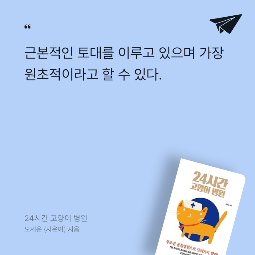 제육볶음님의 24시간 고양이 병원 게시물 이미지