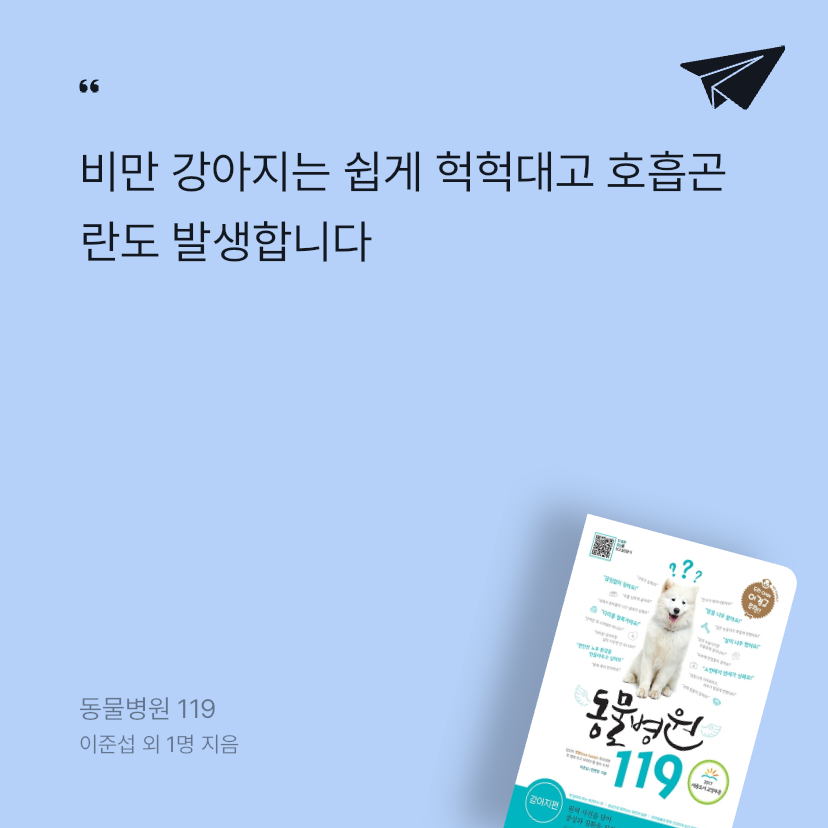 제육볶음님의 동물병원 119 게시물 이미지