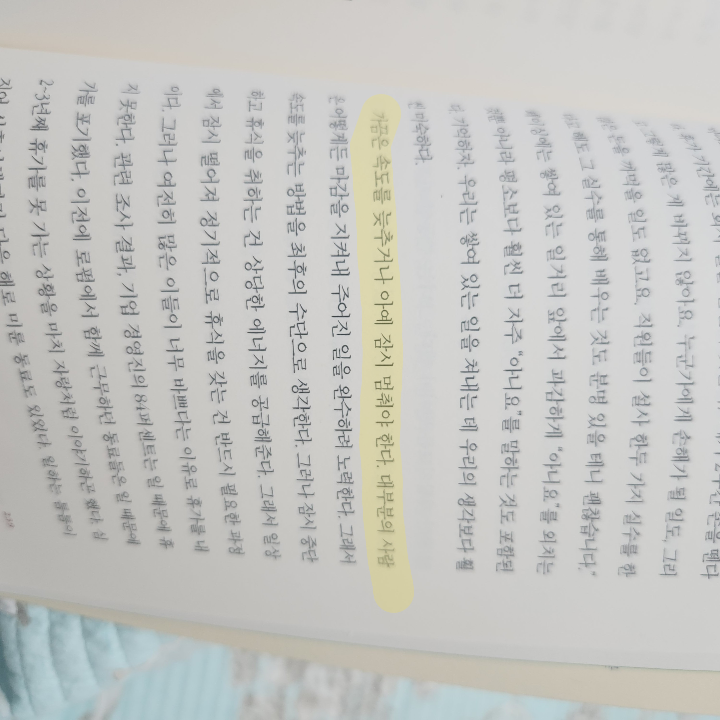 윤보람님의  게시물 이미지
