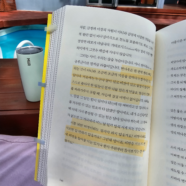 선먀님의 우리가 인생이라 부르는 것들 게시물 이미지