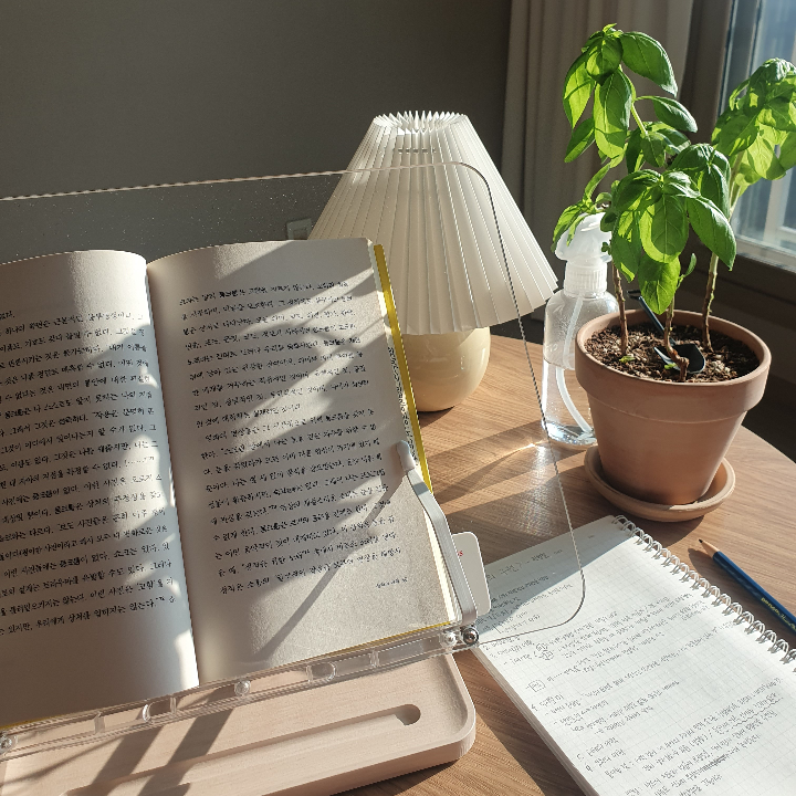 happycheks님의 아름다움의 구원 게시물 이미지