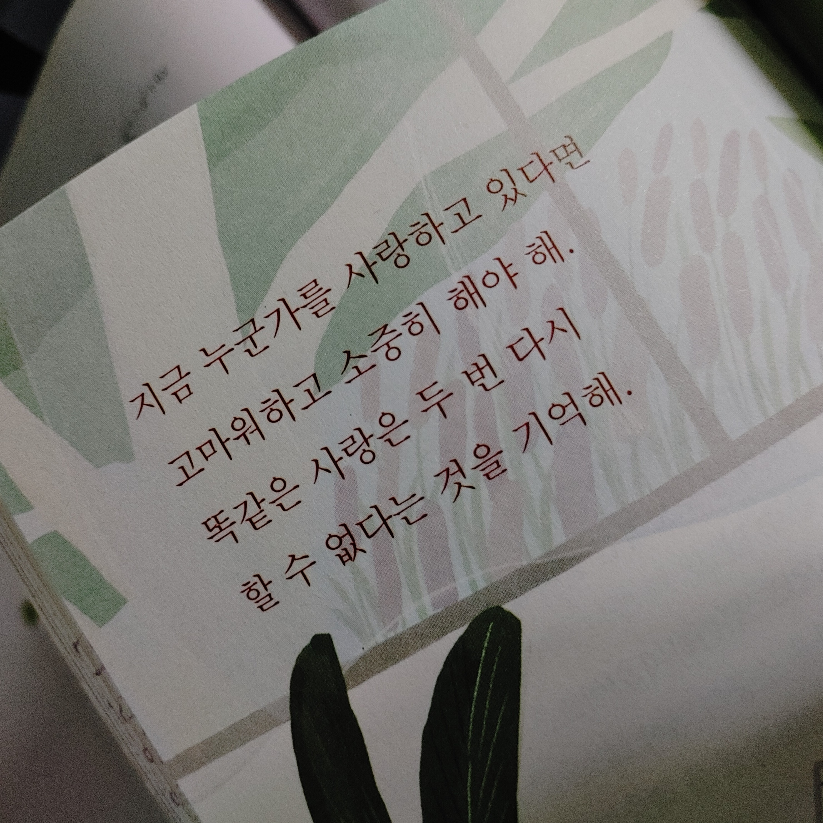 홍평일님의  게시물 이미지