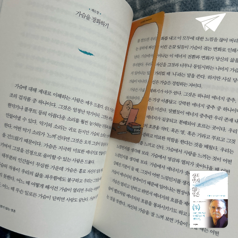 주희님의 상처 받지 않는 영혼 게시물 이미지