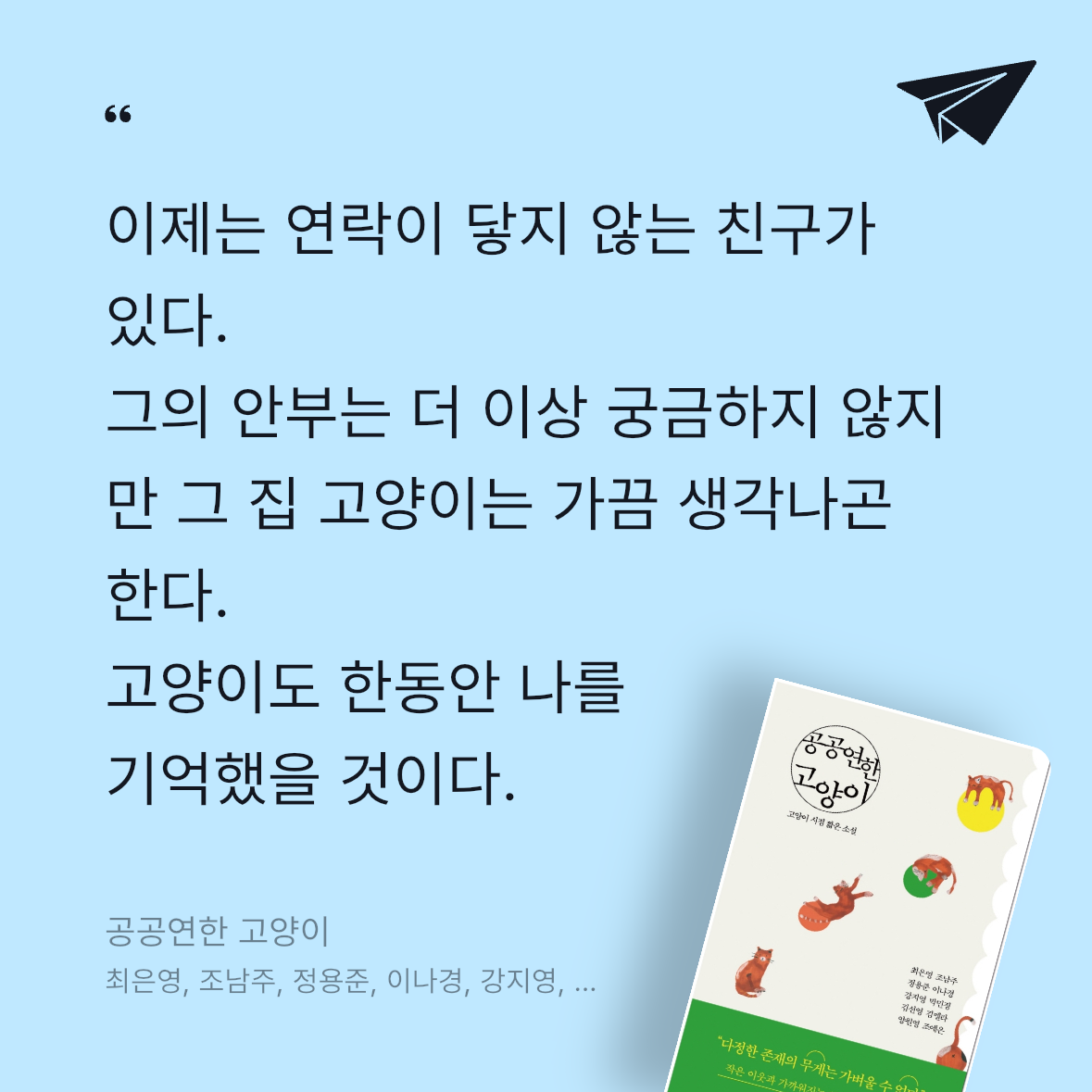 adela님의 공공연한 고양이 게시물 이미지