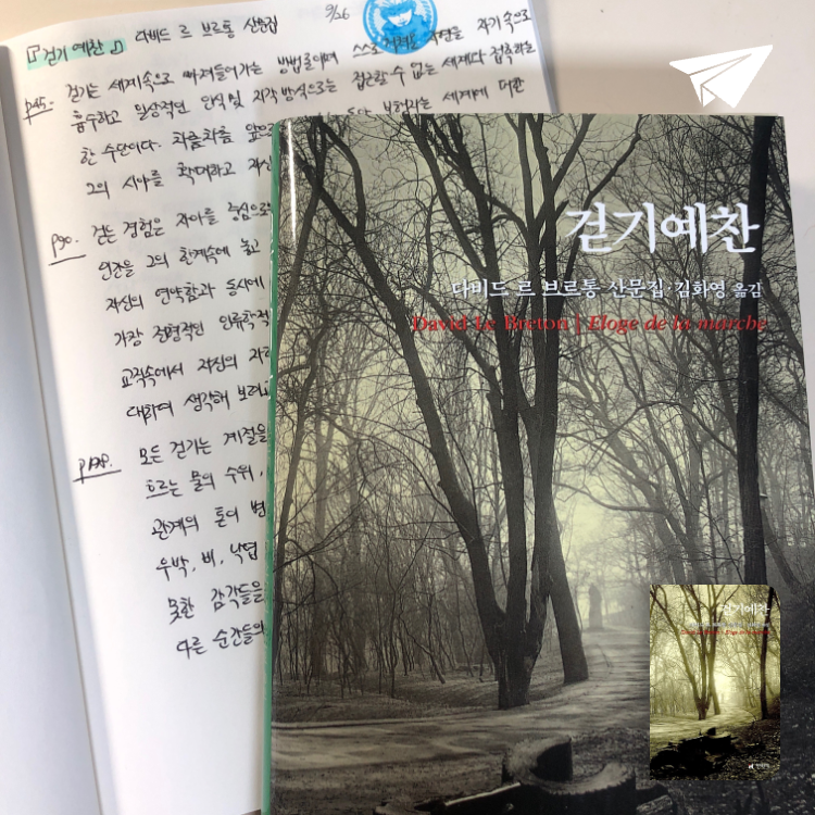제플린님의 걷기예찬 게시물 이미지