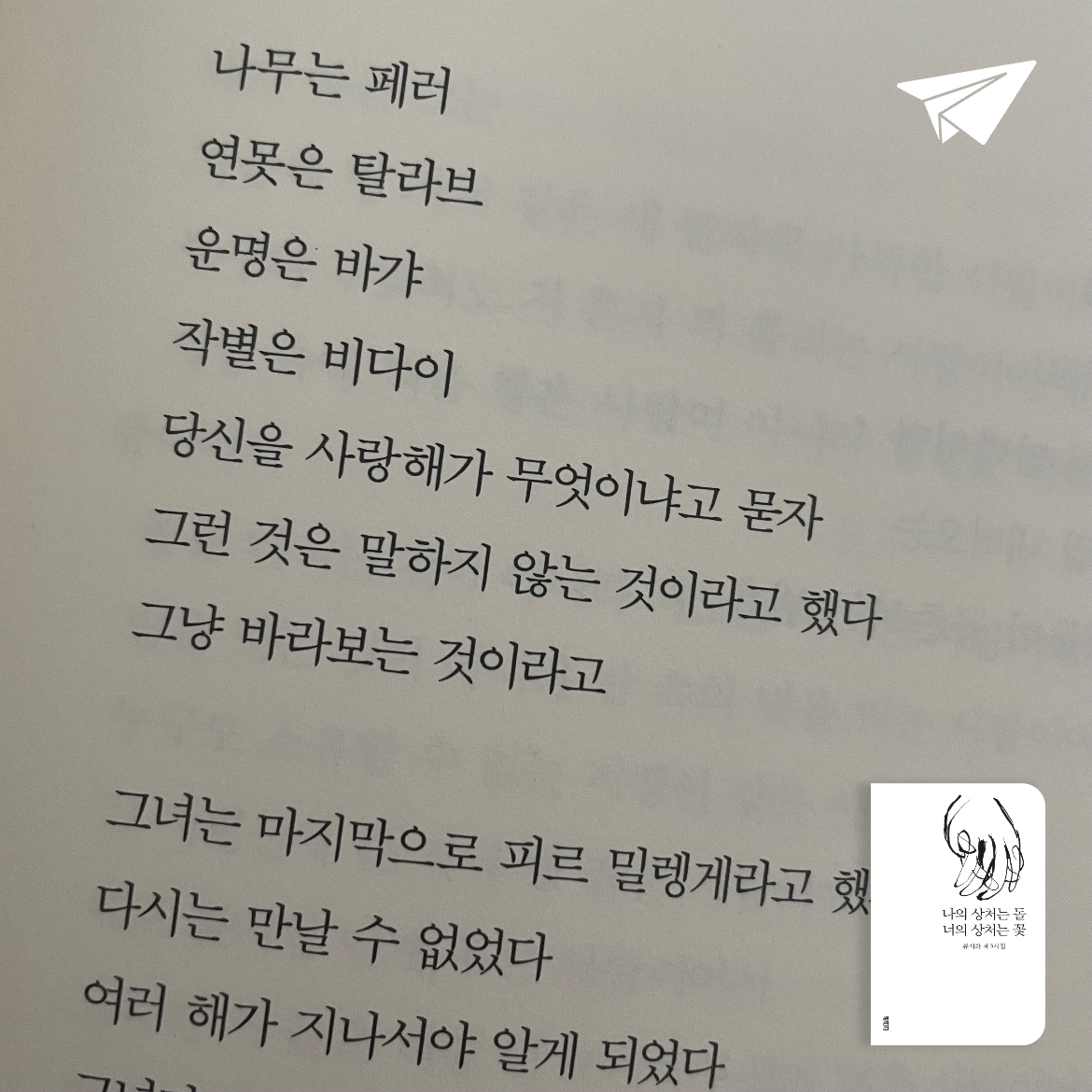 꿀떡님의 나의 상처는 돌 너의 상처는 꽃 게시물 이미지