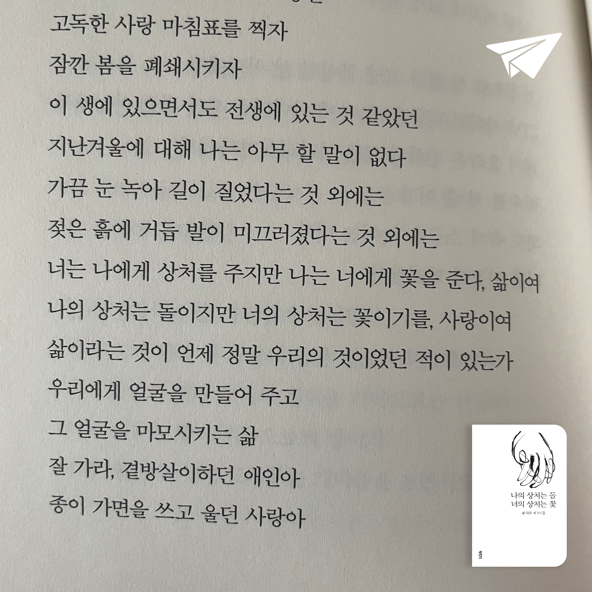 꿀떡님의 나의 상처는 돌 너의 상처는 꽃 게시물 이미지