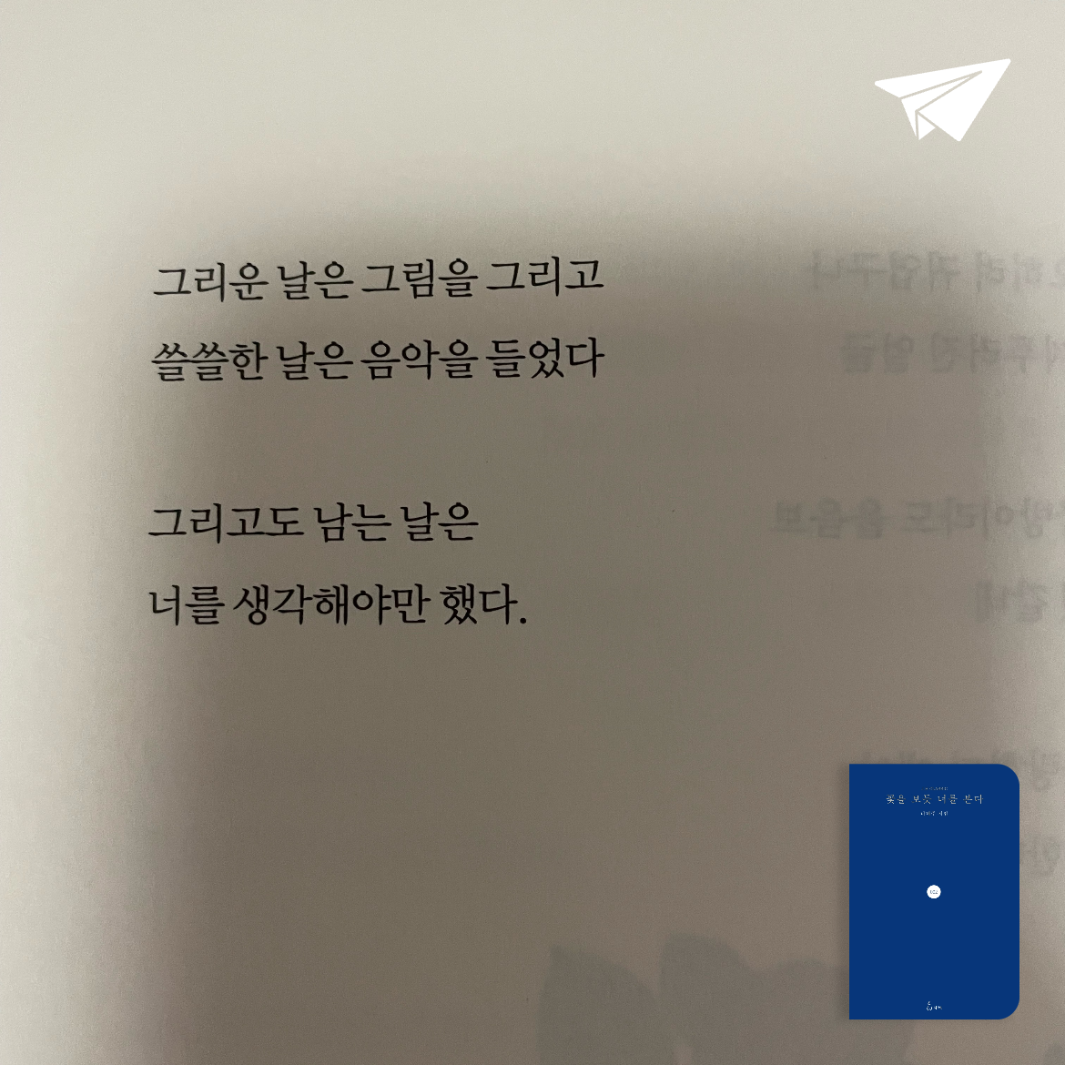 roya님의 꽃을 보듯 너를 본다 게시물 이미지
