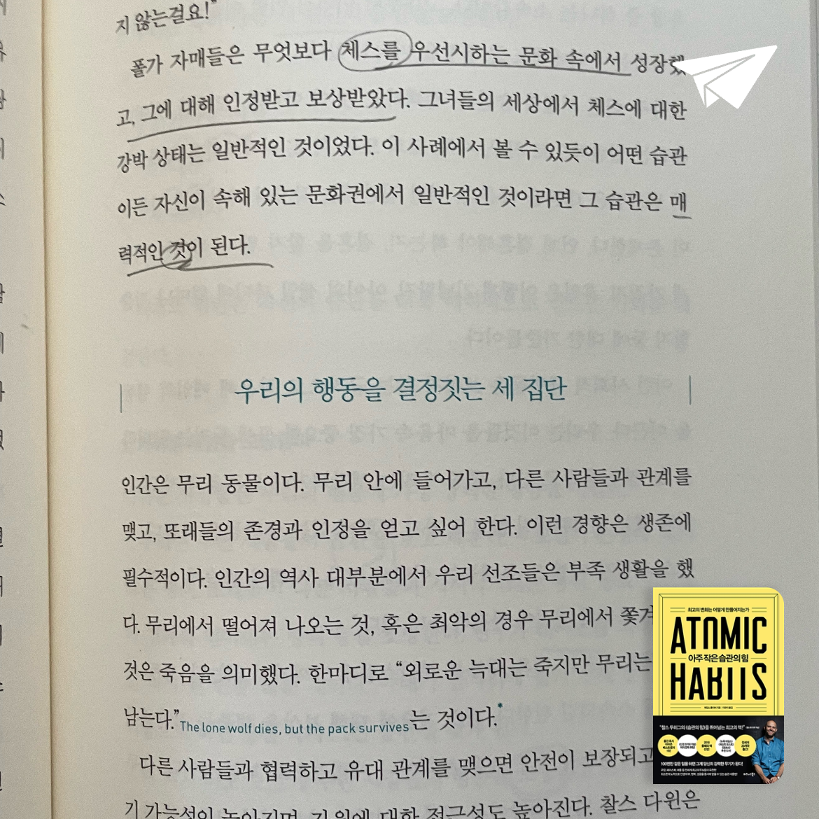 roya님의 아주 작은 습관의 힘 게시물 이미지