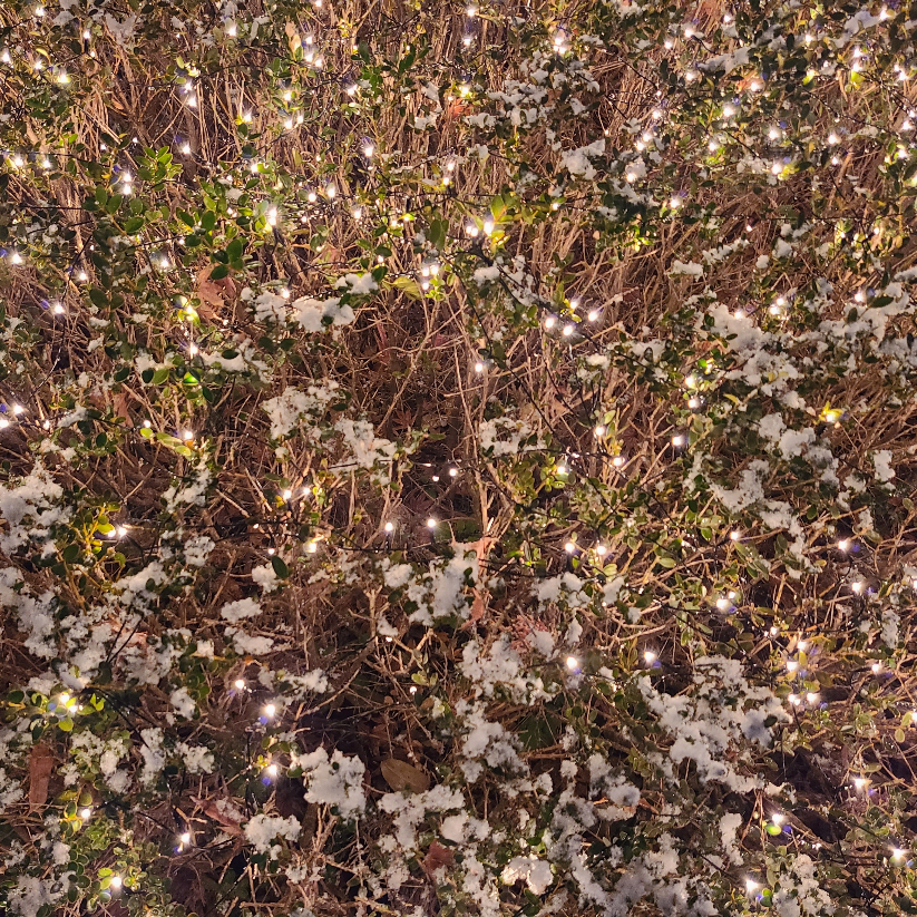 HJ님의 나는 메트로폴리탄 미술관의 경비원입니다 게시물 이미지