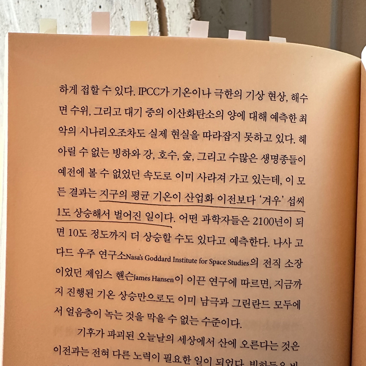 효선이님의 리뷰 이미지 0 - 지구에 대한 의무 