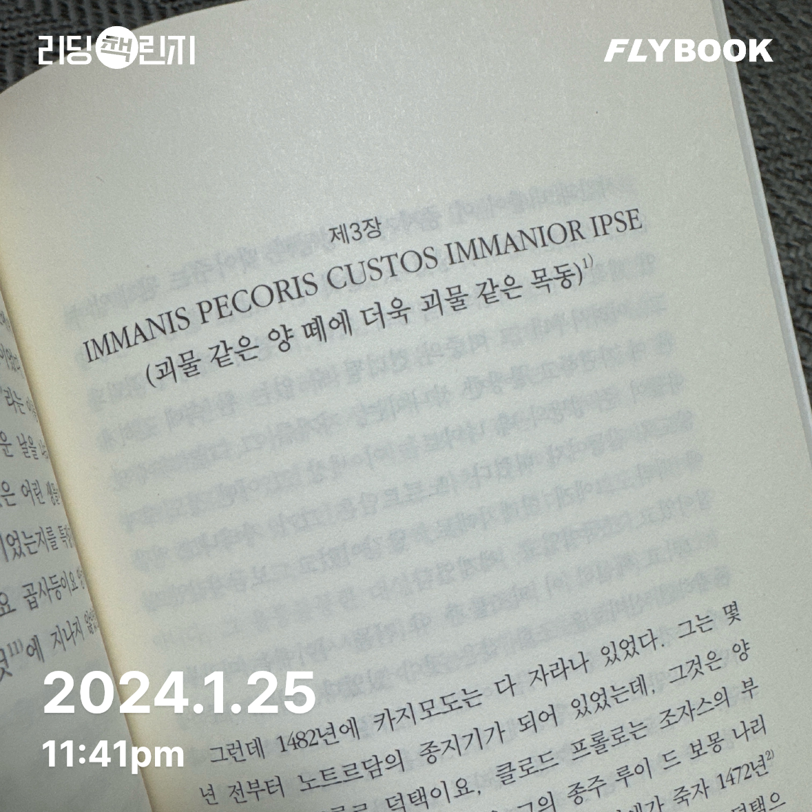 최은지님의 파리의 노트르담 1 게시물 이미지