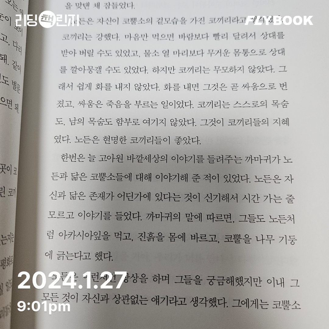 피치몬님의 게시물 이미지